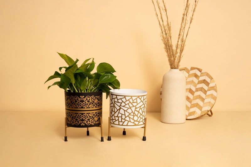 Design upcycled planters
